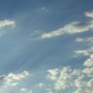 Meet your Posher, Sandi